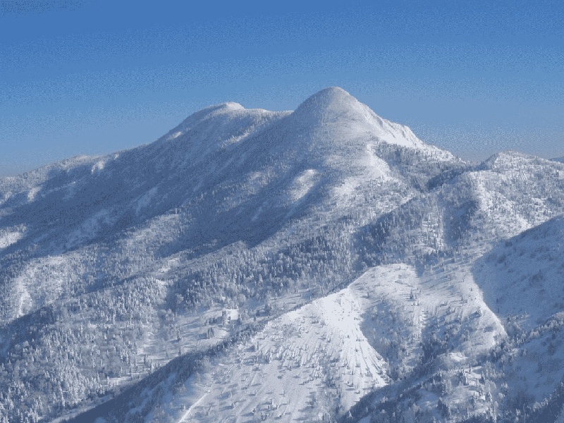 澳洲私人保险试管(泰国治艾滋病费用高吗)